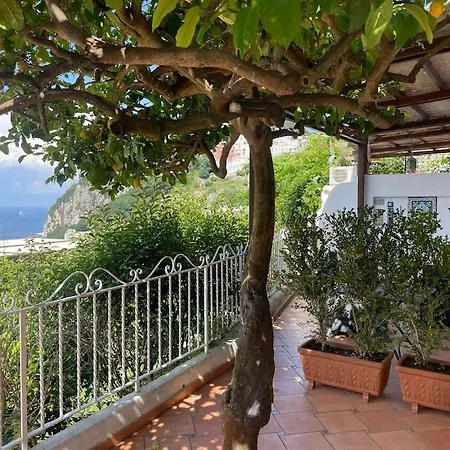 Apartment Casa Reale *